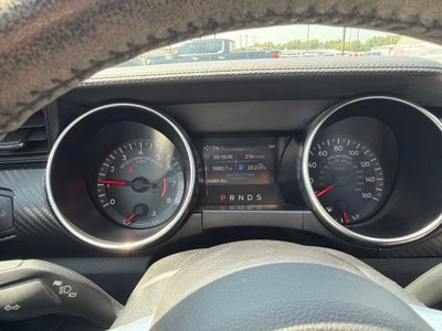 2019 Ford Mustang EcoBoost