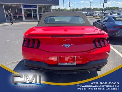 2025 Ford Mustang EcoBoost Premium