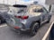 2026 Mazda Mazda CX-50 2.5 S Meridian Edition